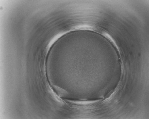 X0000066511336200603241257