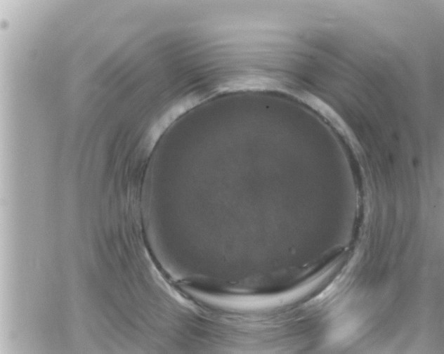 X0000066511337200603241257