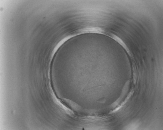 X0000066511339200603241257