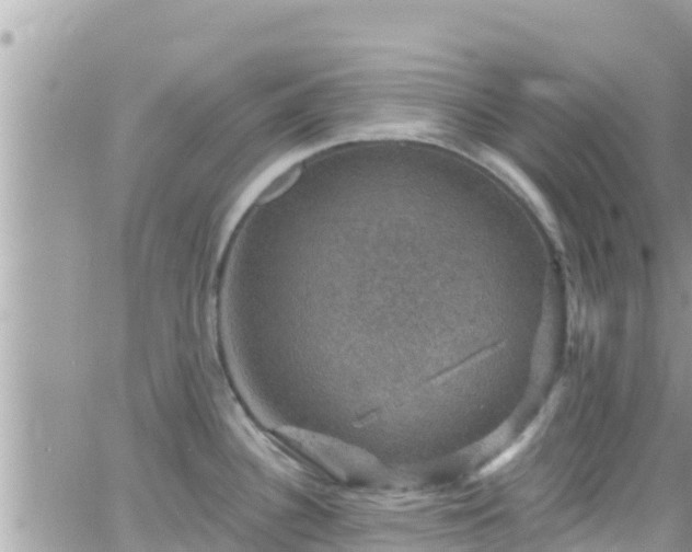 X0000066511340200603241257