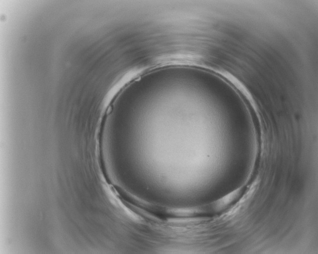 X0000066511341200603241257