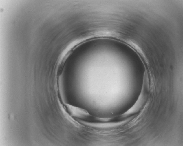 X0000066511342200603241257