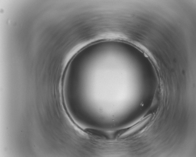 X0000066511343200603241257