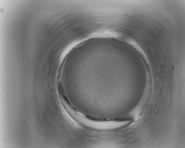 X0000066511344200603241257