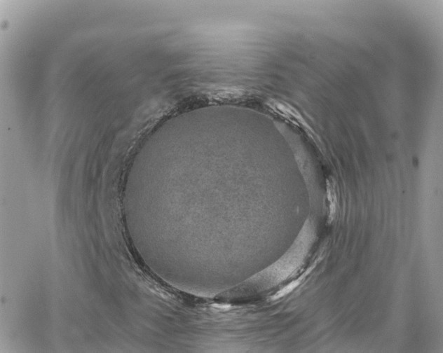 X0000066511345200603241256