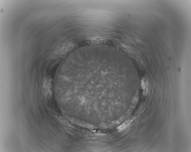 X0000066511346200603241256