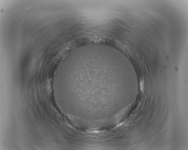 X0000066511347200603241256