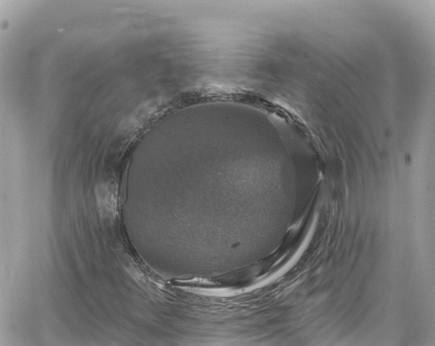 X0000066511348200603241256