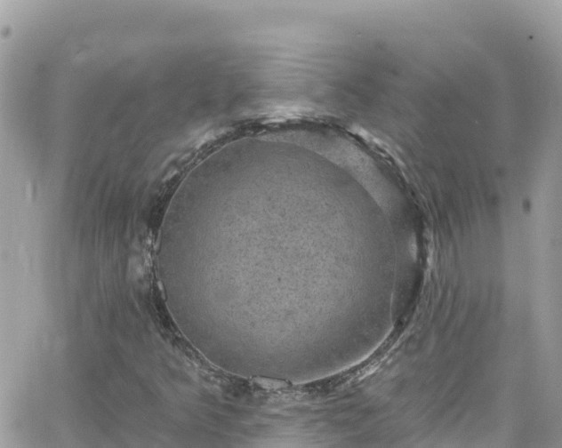 X0000066511349200603241256