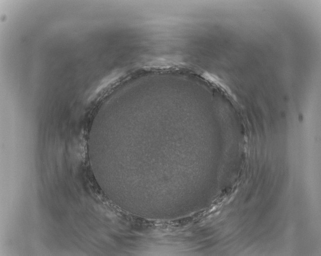 X0000066511350200603241256