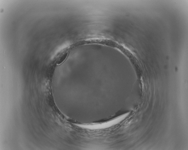 X0000066511351200603241256