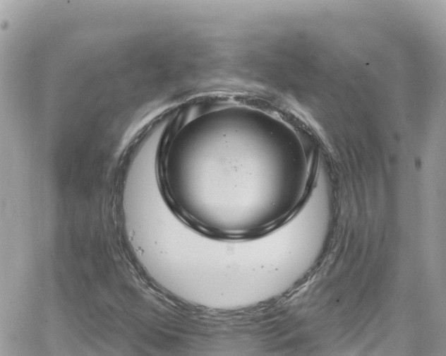 X0000066511352200603241256