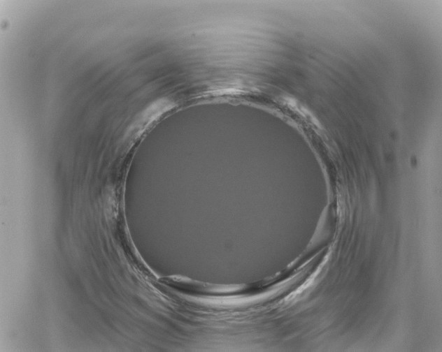 X0000066511353200603241256