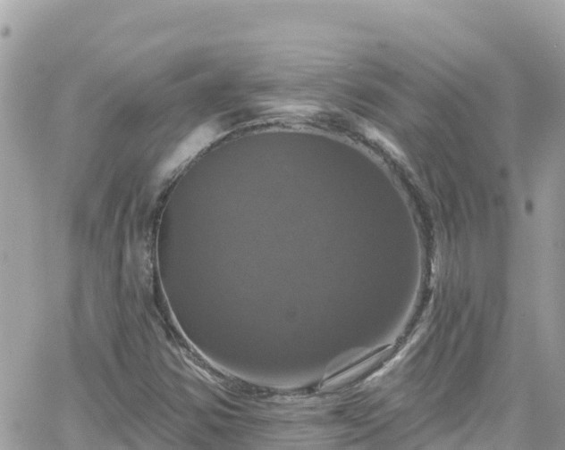 X0000066511354200603241256