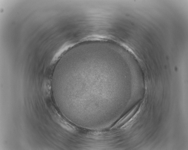 X0000066511355200603241256