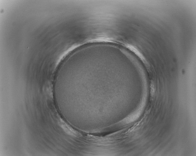 X0000066511356200603241256