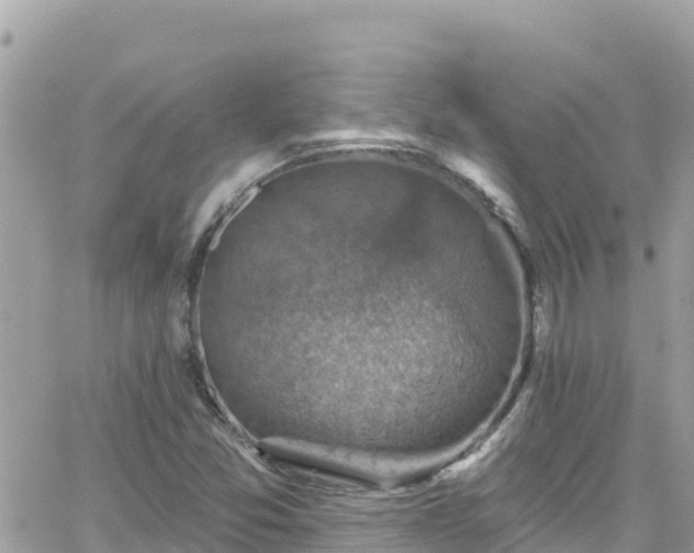 X0000066511357200603241256