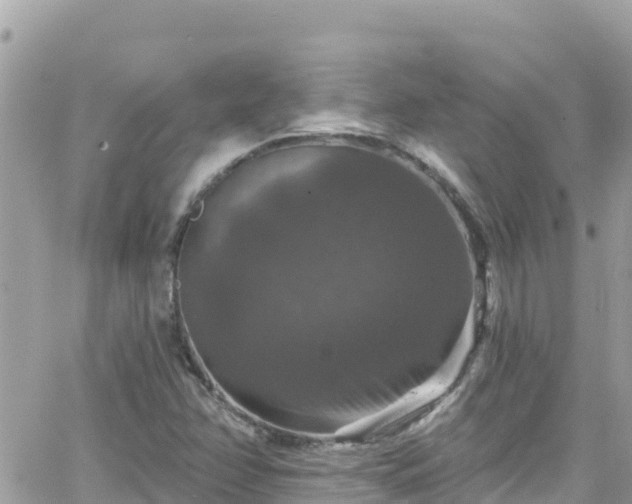 X0000066511358200603241256