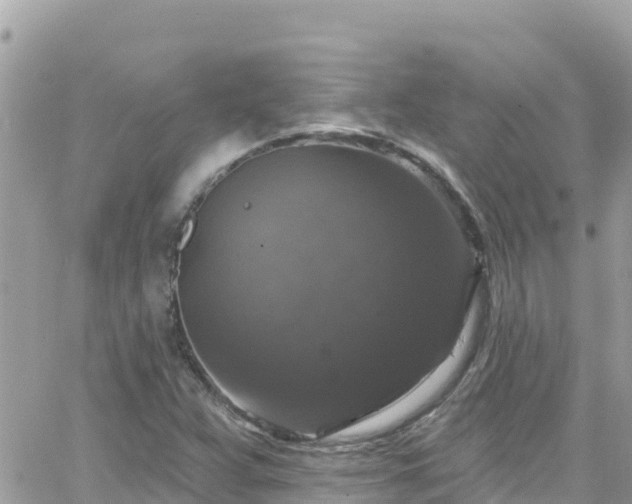 X0000066511359200603241256