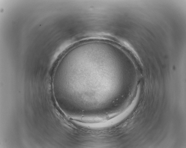 X0000066511360200603241256