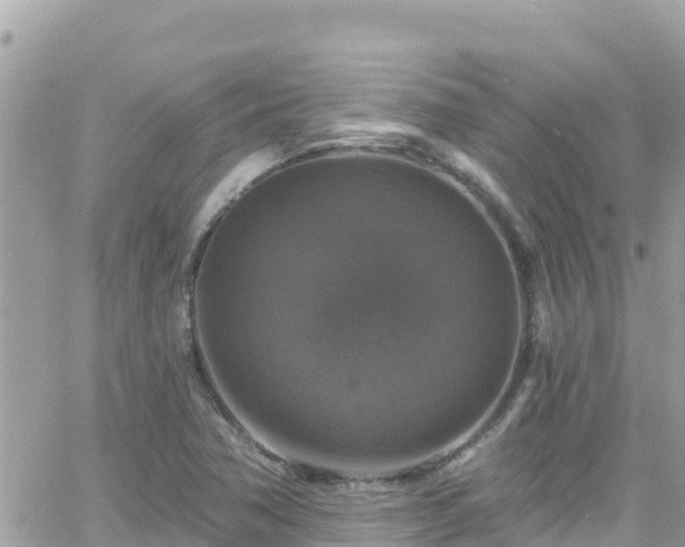 X0000066511362200603241256