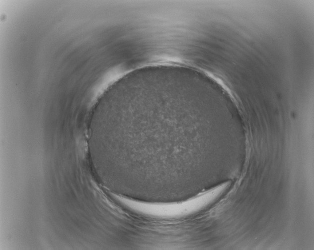 X0000066511363200603241256