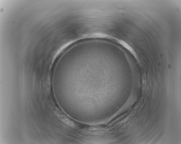 X0000066511364200603241256