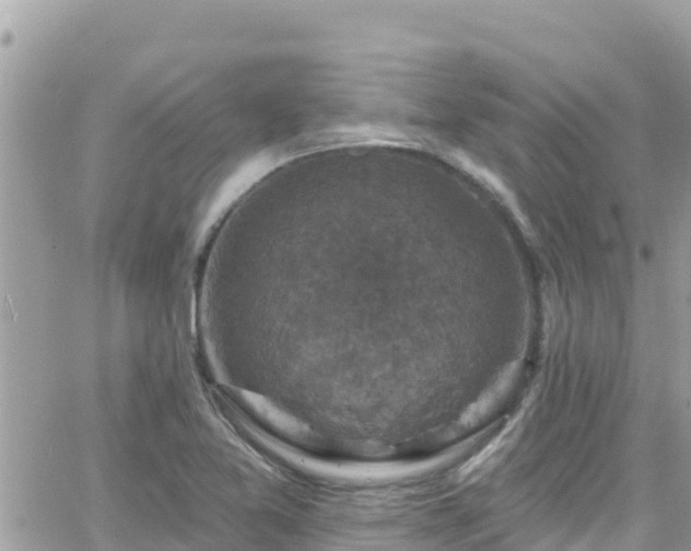 X0000066511365200603241256