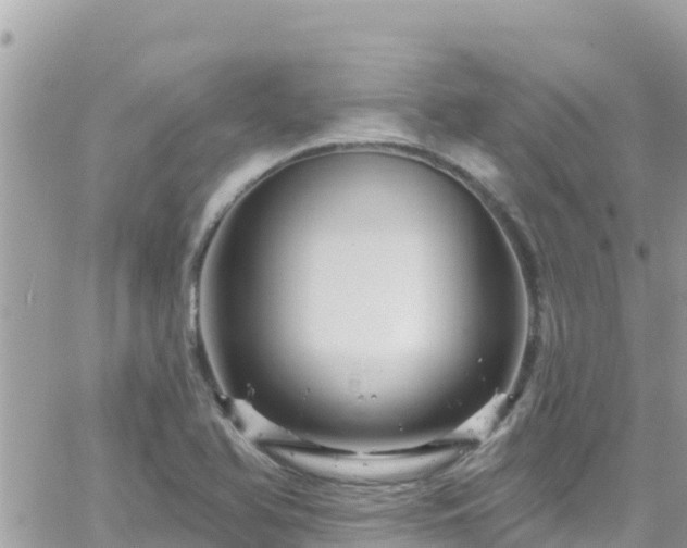 X0000066511366200603241256