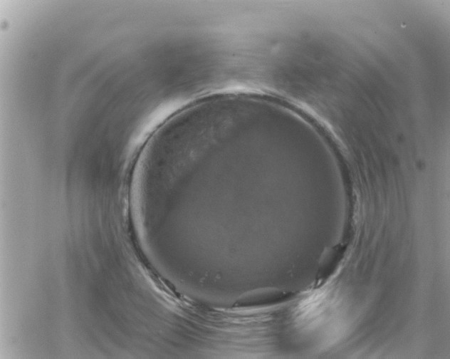 X0000066511367200603241256