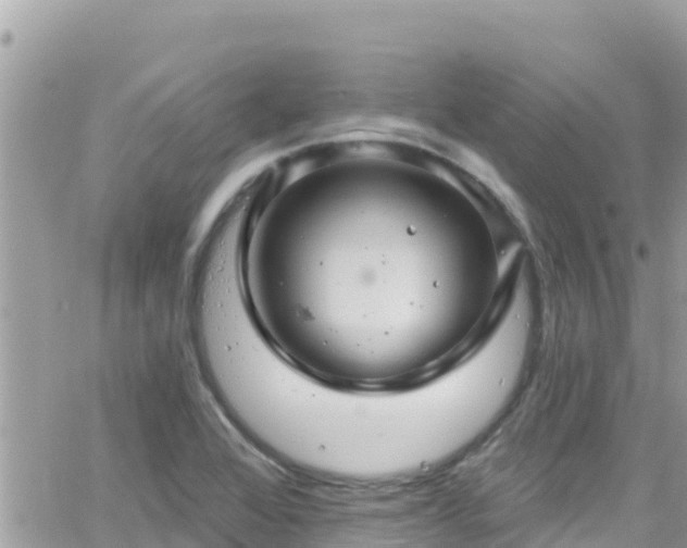 X0000066511368200603241256