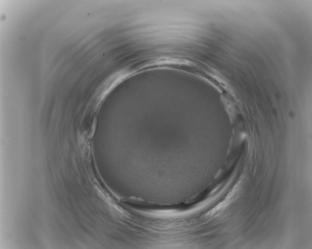 X0000066511369200603241256