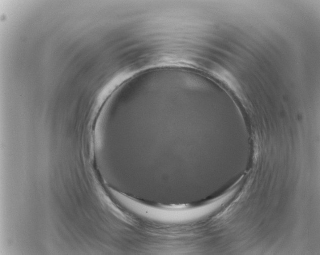 X0000066511371200603241256