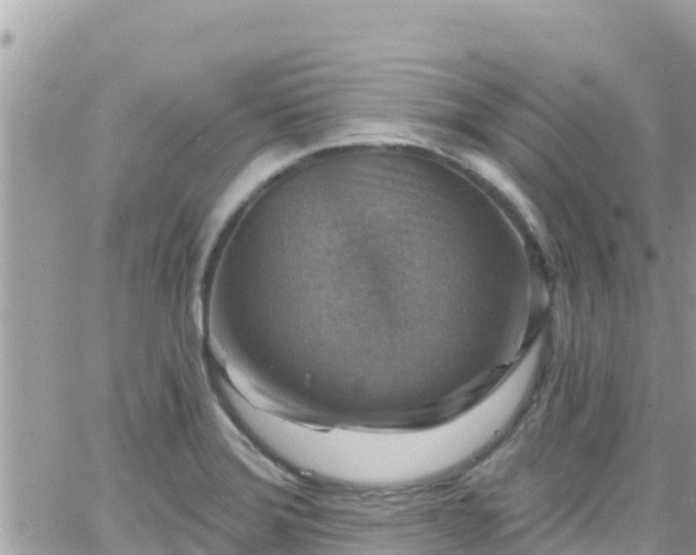 X0000066511372200603241256