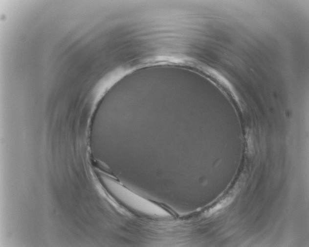 X0000066511373200603241256