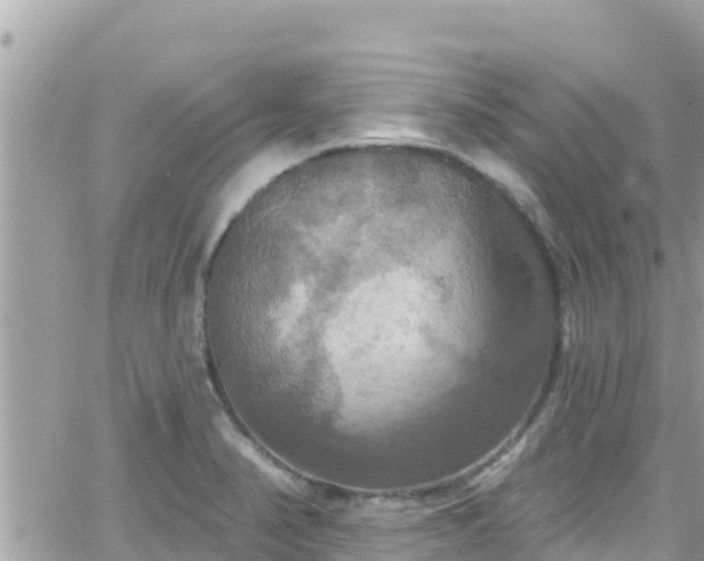 X0000066511374200603241256