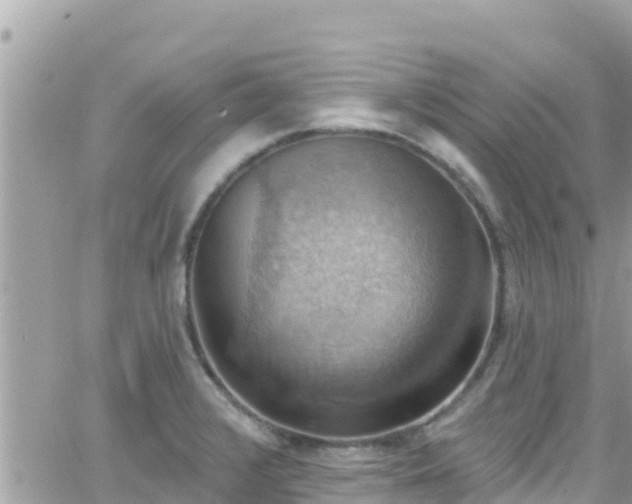 X0000066511376200603241256