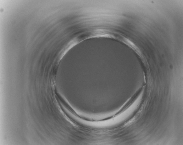 X0000066511377200603241256