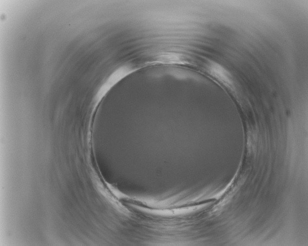 X0000066511378200603241256