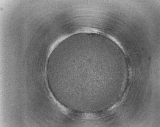 X0000066511379200603241256