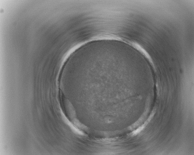 X0000066511380200603241256