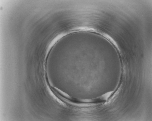 X0000066511381200603241256