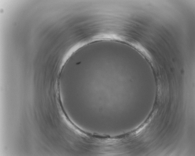 X0000066511382200603241256