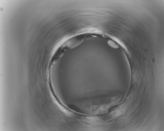 X0000066511383200603241256