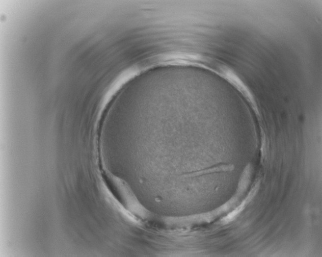 X0000066511384200603241256