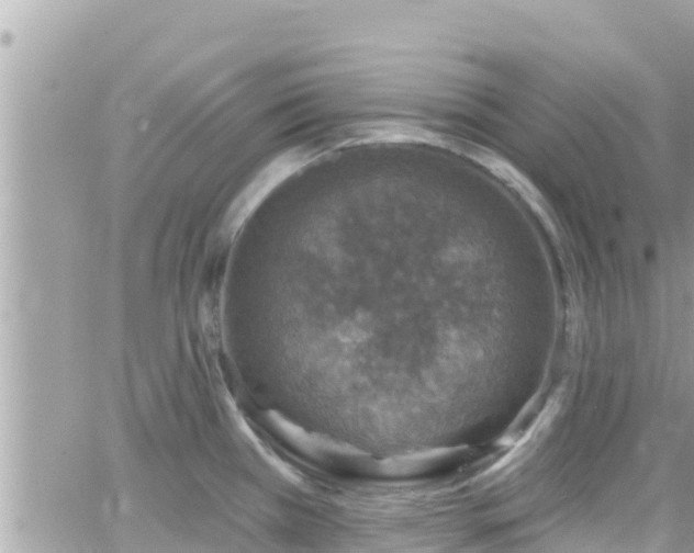 X0000066511385200603241256