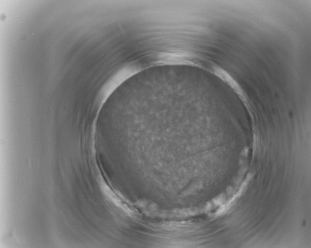 X0000066511386200603241256