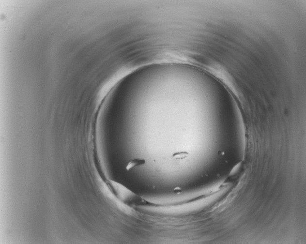 X0000066511387200603241256