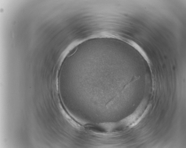 X0000066511388200603241256