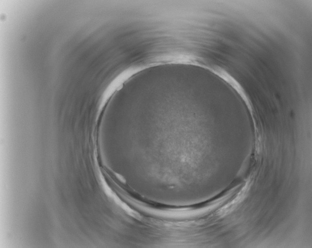 X0000066511389200603241255